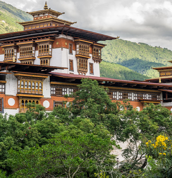 Discover the True Essence of Bhutan with Trekkup Bhutan