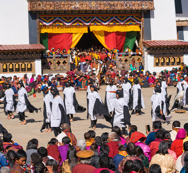 Black Necked Crane Tshechu Festival- 7nights / 8days